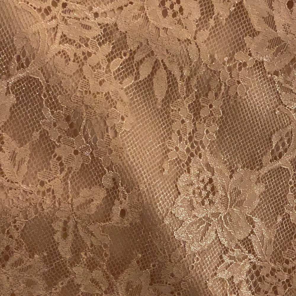 Metallic Nude Lace Slip Dress - Picture 4 of 7